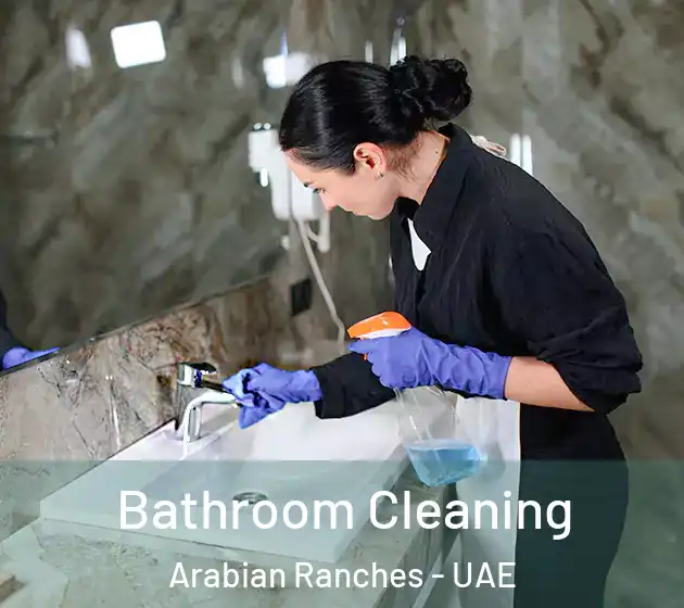  Bathroom Cleaning Arabian Ranches - UAE