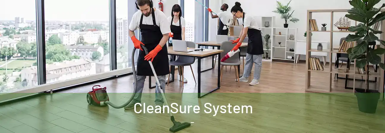 CleanSure System -