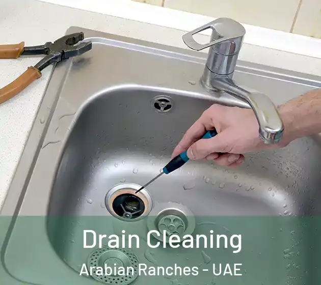  Drain Cleaning Arabian Ranches - UAE