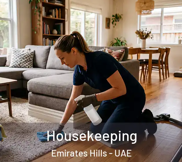 Housekeeping Emirates Hills - UAE