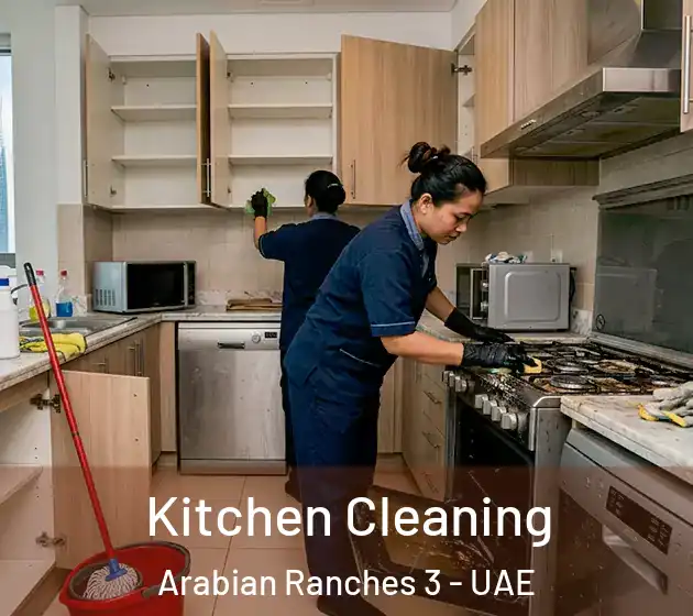  Kitchen Cleaning Arabian Ranches 3 - UAE