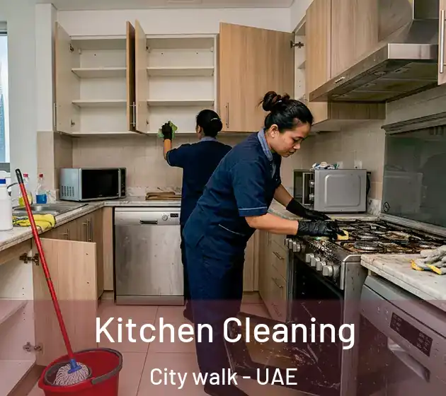 Kitchen Cleaning City walk - UAE