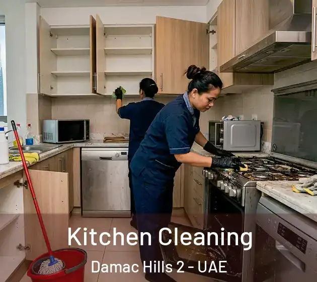 Kitchen Cleaning Damac Hills 2 - UAE
