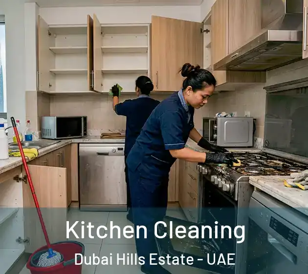  Kitchen Cleaning Dubai Hills Estate - UAE