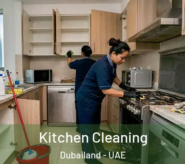  Kitchen Cleaning Dubailand - UAE
