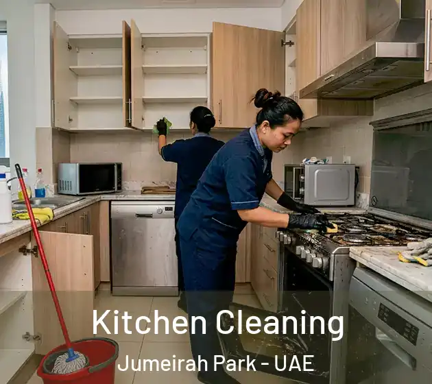 Kitchen Cleaning Jumeirah Park - UAE