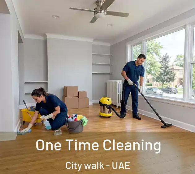  One Time Cleaning City walk - UAE
