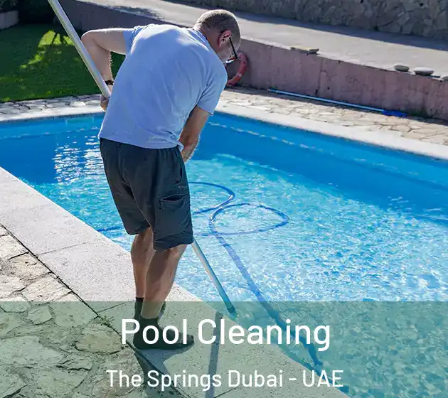 Pool Cleaning The Springs Dubai - UAE