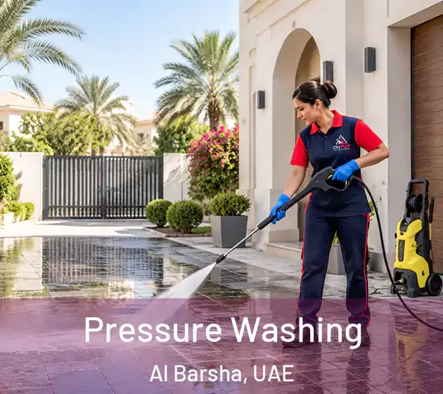 Pressure Washing Al Barsha, UAE