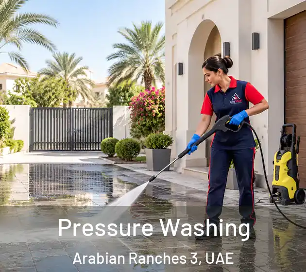 Pressure Washing Arabian Ranches 3, UAE