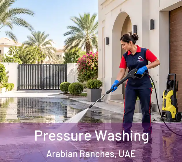  Pressure Washing Arabian Ranches, UAE