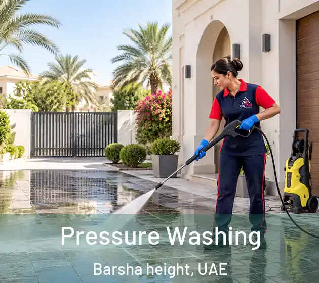  Pressure Washing Barsha height, UAE