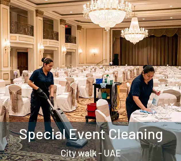 Special Event Cleaning City walk - UAE